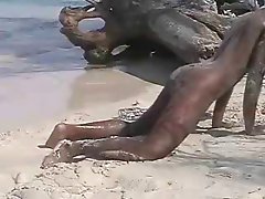 amature ebony beach fuck